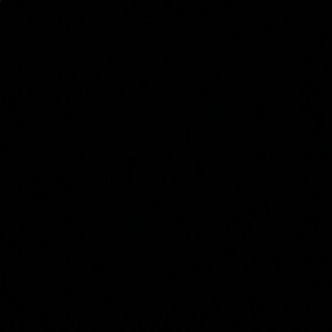 Meet your Posher, Alannah